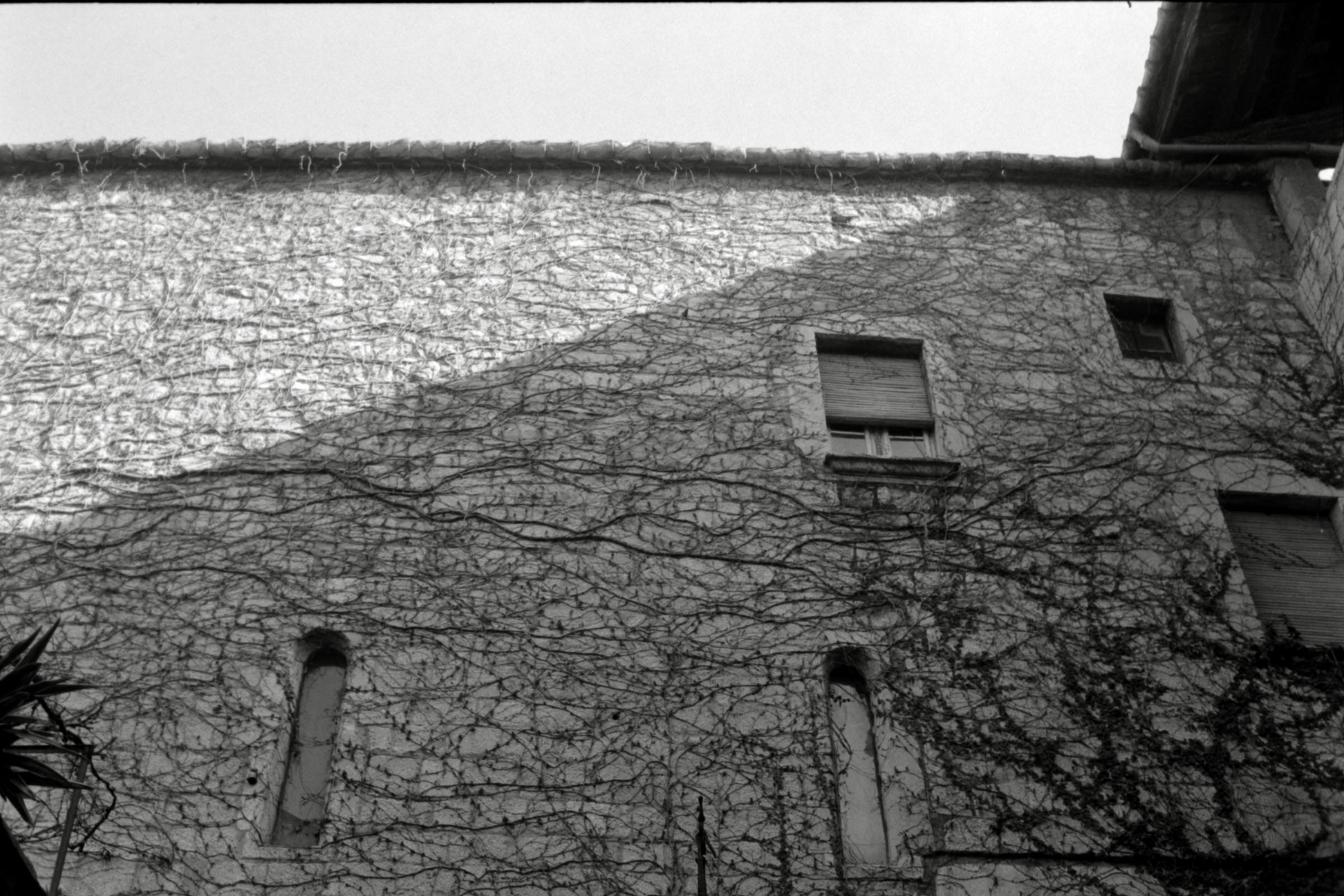 AHP F1996 02 001 sc240816 img11 NLP